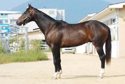 ����ĸƾ ����