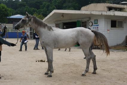 ȭ��Ʈ���� ����