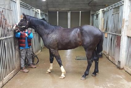 â�� ����