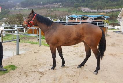 ������ ����