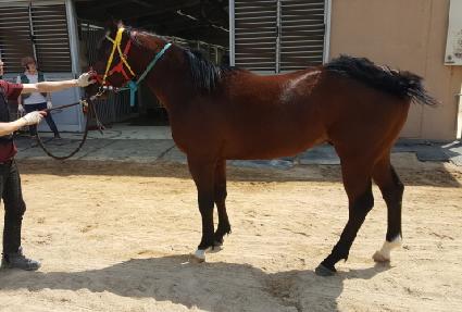 �ε������ ����