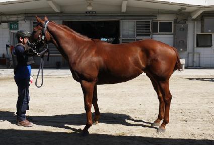 ���ؽǹ� ����