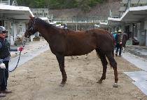 ���Ǻ�� (GWANAK BID) ����