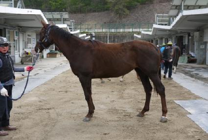 ���Ǻ�� ����