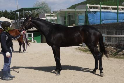 ������ĸƾ ����