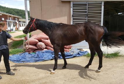 �ݼ��� ����