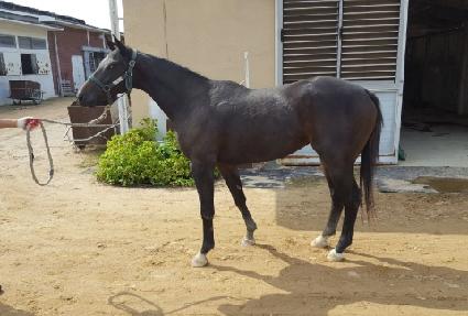 �޹��� ����