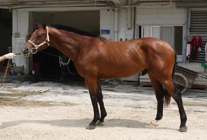 �긱����Ʈ ����