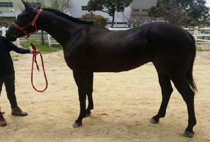 �����̰�� ����