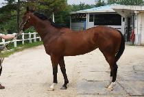 ���帲 (OK DEURIM) ����