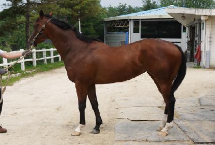 ���帲 ����