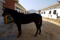 �������¸� (EONJENA SEUNGNI) ����