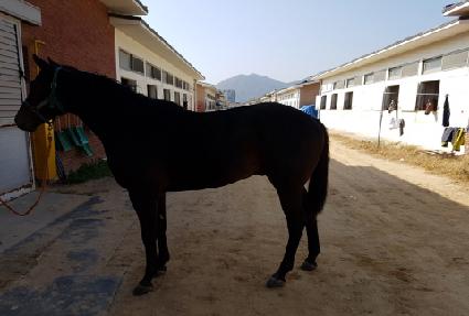 �������¸� ����