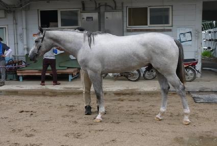 ť�ǵ����� ����