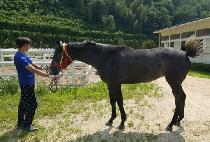 ���ϵ��� (ROCK HARD QUEEN) ����