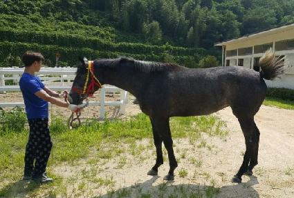 ���ϵ��� ����