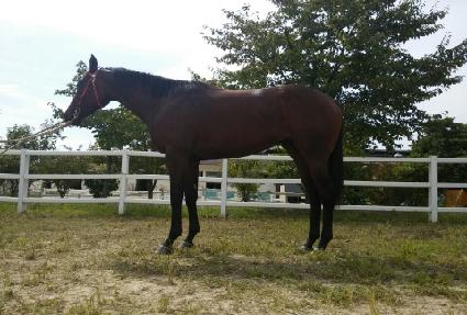 ���ִ�� ����