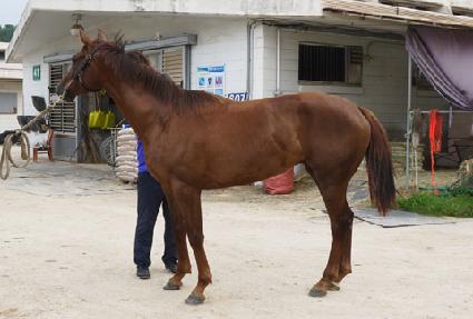 �ö������ ����