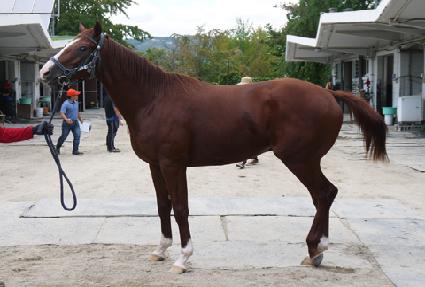 �Ӵϻ��� ����