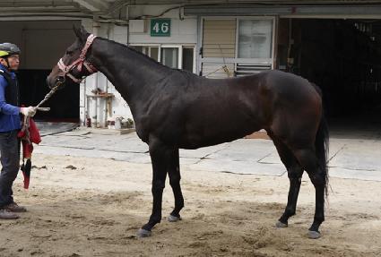 ��ī������ ����