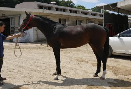 ť�ǵ彺�� ����