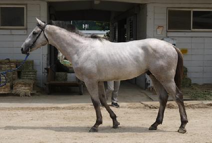 �������� ����