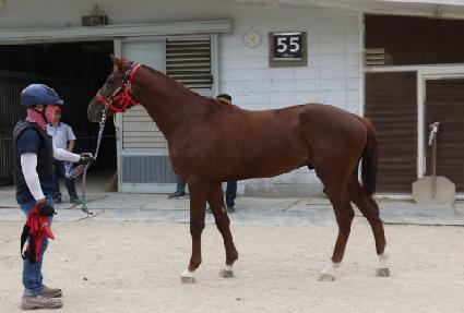 ī�϶󽺾�ũ ����