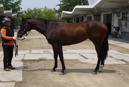 �ݾƼ��� ����