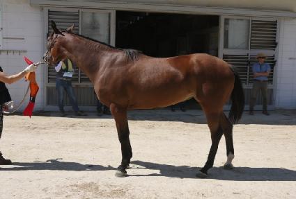 �ŵ���̶��� ����