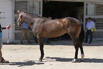 ��������Ʈ (SURFING POINT) ����