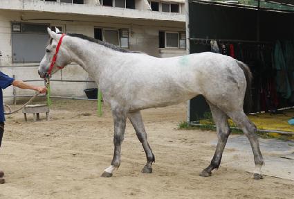 ���Ǹ��� ����