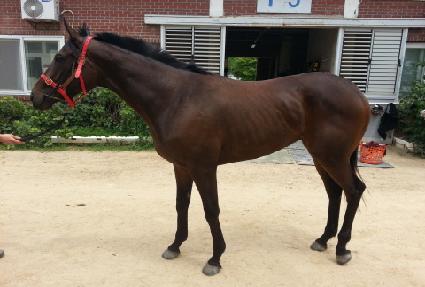 ��θ��� ����