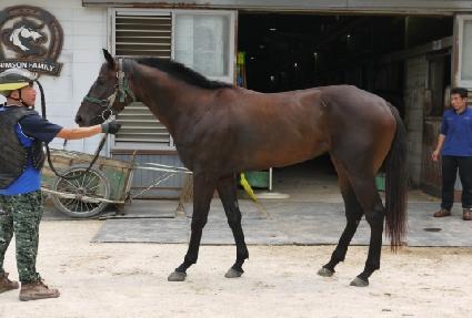 �����׷��̽� ����