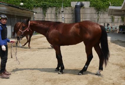 �����¡�ǽ� ����