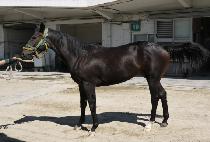 �������漱 (JEJUUI HEUKSEON) ����