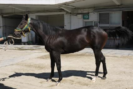 �������漱 ����