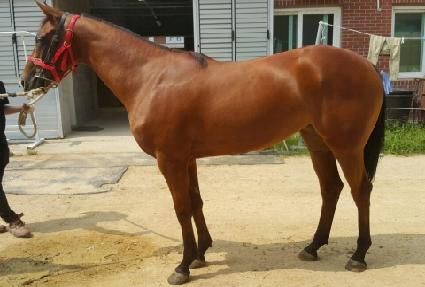 ���丮ǻ�� ����