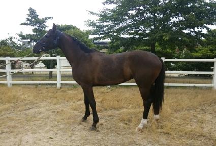 ���� ����