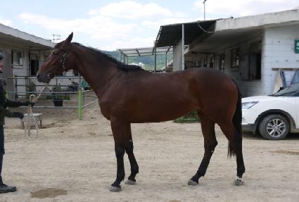 �������� ����