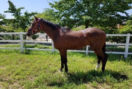 �̽��͸��� ����