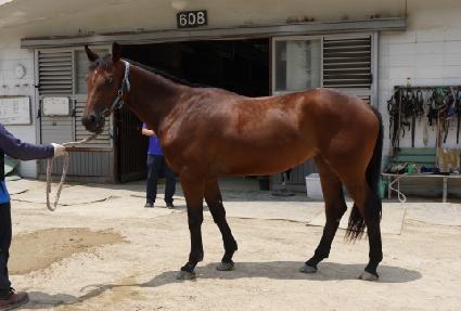 �ź��̸��� ����