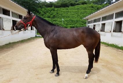 ������ ����