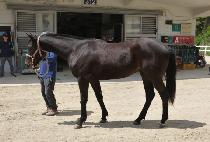 ������ (HYEON GWANG SA) ����