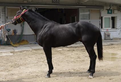 ��ǳ���� ����