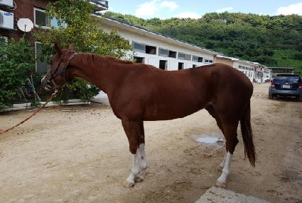 ������ ����