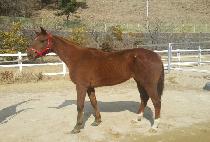 MACHEONGIL LONG picture