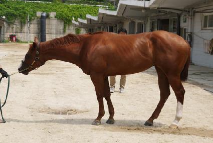 �������� ����