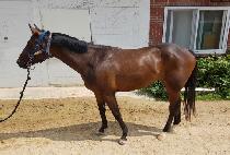 �ƶ����� (ARAM NARAE) ����