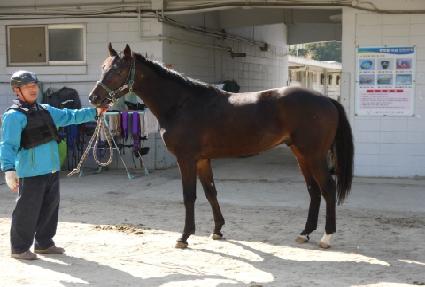 ������ ����