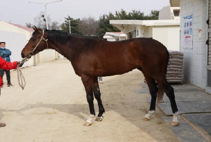 �켼�� ����